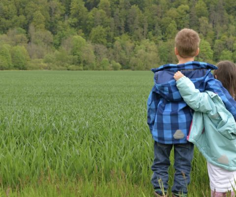 Pourquoi tout le monde est amoureux dans la classe ?